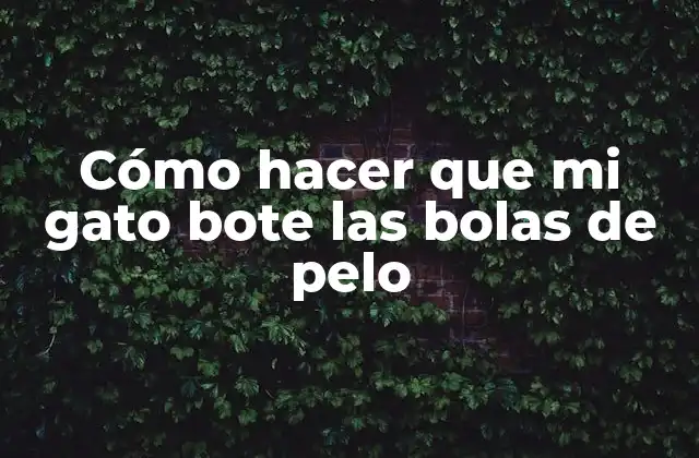 Cómo Hacer que Mi Gato Bote las Bolas de Pelo