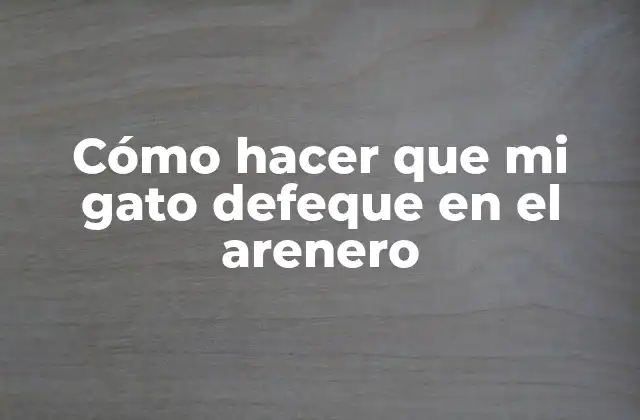 Cómo Hacer que Mi Gato Defeque en el Arenero