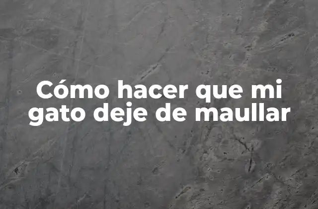 Cómo Hacer que Mi Gato Deje de Maullar