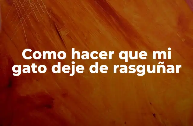 Como Hacer que Mi Gato Deje de Rasguñar
