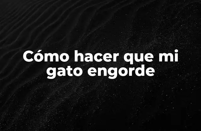 Cómo Hacer que Mi Gato Engorde 2 Cómo hacer que mi gato engorde