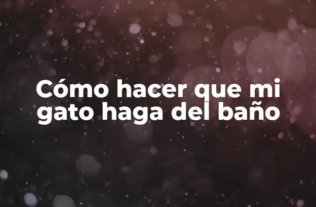 Cómo Hacer que Mi Gato Haga Del Baño