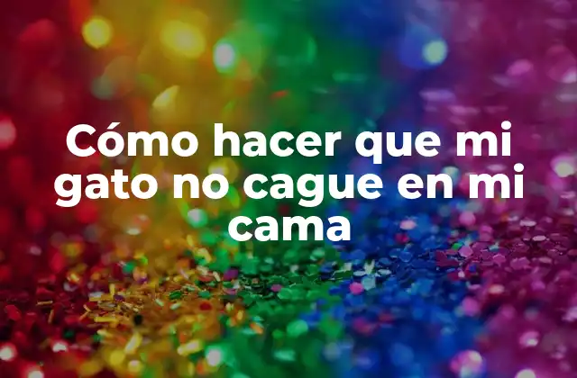 Cómo Hacer que Mi Gato No Cague en Mi Cama