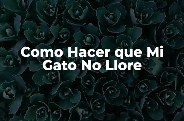 Como Hacer que Mi Gato No Llore