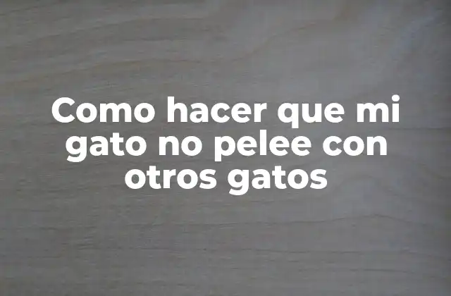 Como Hacer que Mi Gato No Pelee con Otros Gatos