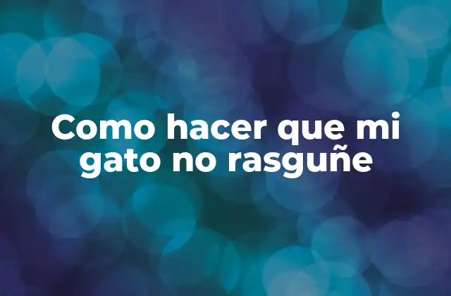 Como Hacer que Mi Gato No Rasguñe