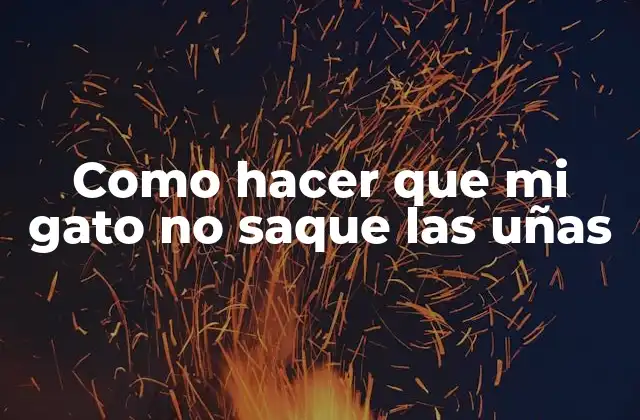 Como Hacer que Mi Gato No Saque las Uñas