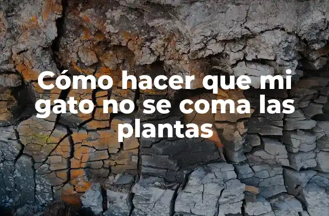 Cómo Hacer que Mi Gato No Se Coma las Plantas
