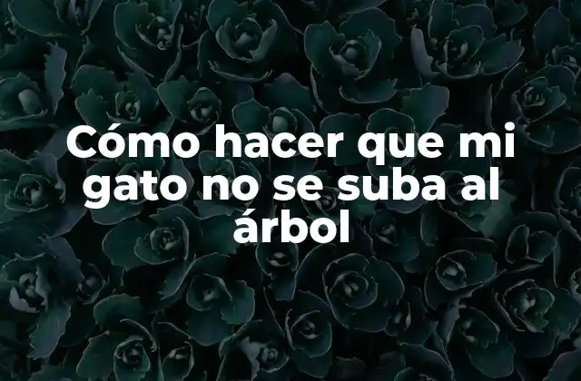 Cómo Hacer que Mi Gato No Se Suba Al Árbol