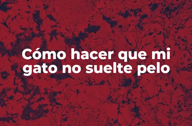 Cómo Hacer que Mi Gato No Suelte Pelo