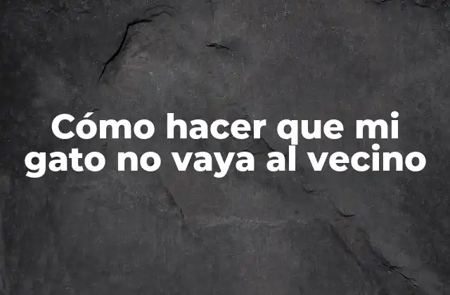 Cómo Hacer que Mi Gato No Vaya Al Vecino