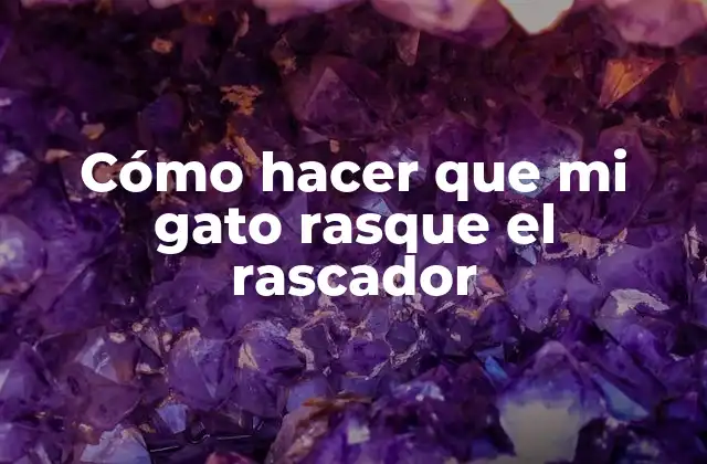 Cómo Hacer que Mi Gato Rasque el Rascador