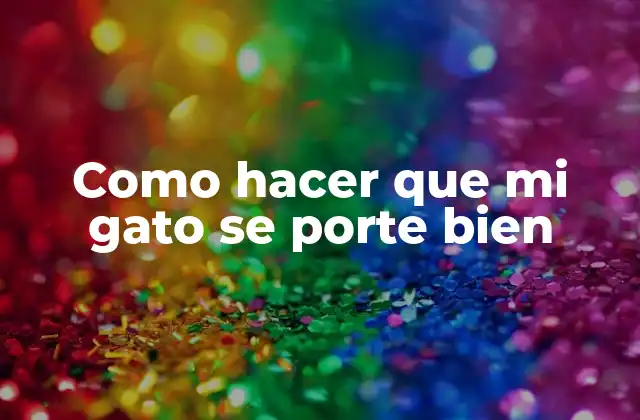 Como Hacer que Mi Gato Se Porte Bien