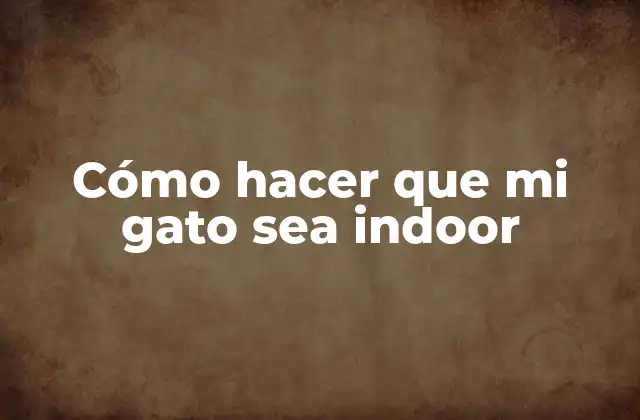 Cómo Hacer que Mi Gato Sea Indoor