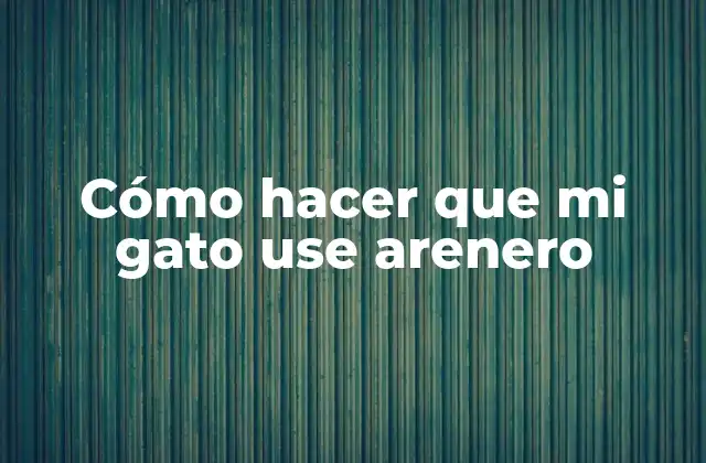Cómo Hacer que Mi Gato Use Arenero