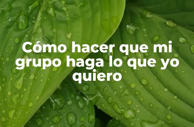 Cómo Hacer que Mi Grupo Haga Lo que Yo Quiero