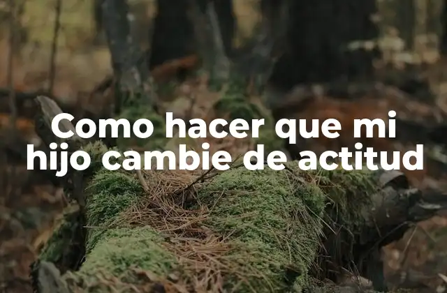 Como Hacer que Mi Hijo Cambie de Actitud