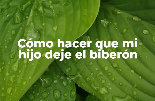 Cómo Hacer que Mi Hijo Deje el Biberón