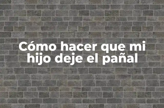 Cómo Hacer que Mi Hijo Deje el Pañal