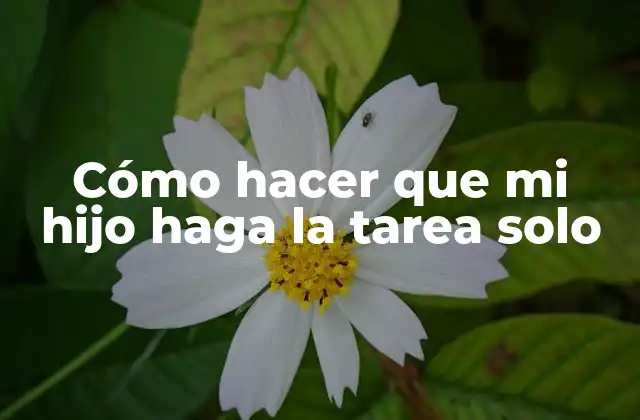 Cómo Hacer que Mi Hijo Haga la Tarea Solo