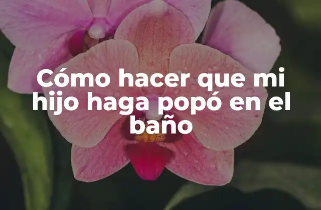 Cómo Hacer que Mi Hijo Haga Popó en el Baño