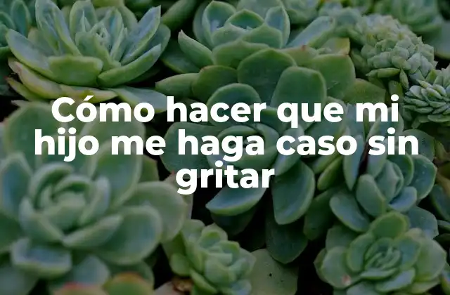 Cómo Hacer que Mi Hijo Me Haga Caso sin Gritar