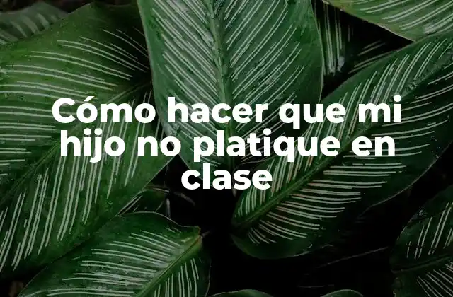 Cómo Hacer que Mi Hijo No Platique en Clase