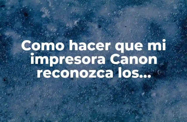 Como Hacer que Mi Impresora Canon Reconozca los Cartuchos Rellenados