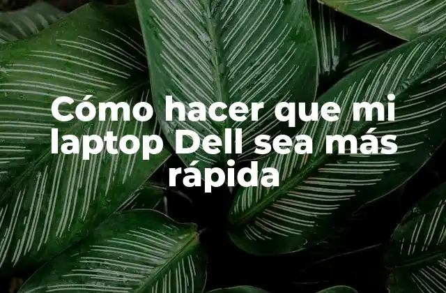 Cómo Hacer que Mi Laptop Dell Sea Más Rápida