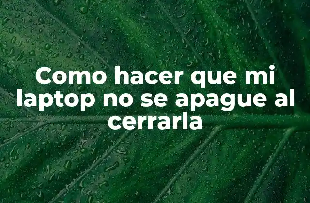 Como Hacer que Mi Laptop No Se Apague Al Cerrarla