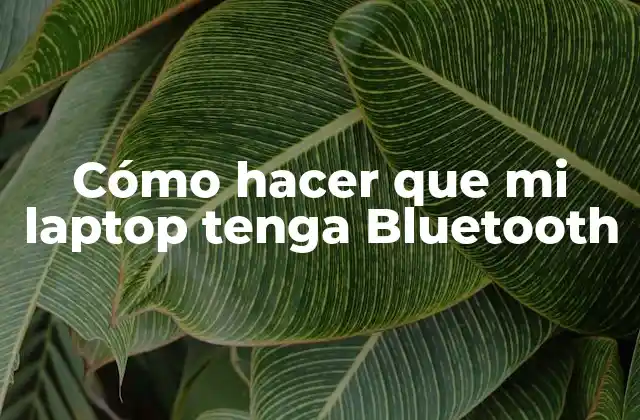 Cómo Hacer que Mi Laptop Tenga Bluetooth