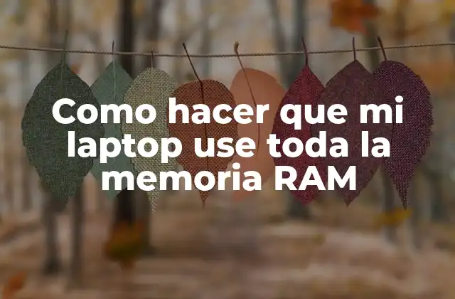 Como Hacer que Mi Laptop Use Toda la Memoria Ram