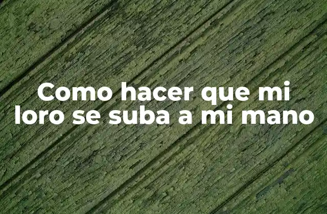 Como Hacer que Mi Loro Se Suba a Mi Mano