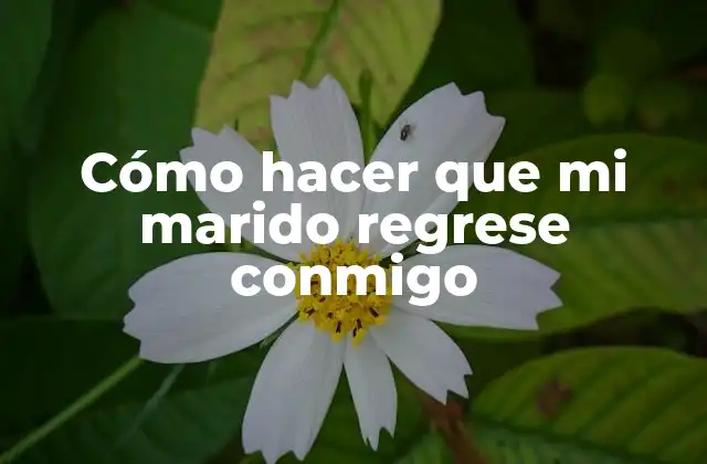 Cómo Hacer que Mi Marido Regrese Conmigo