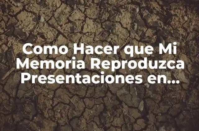 Como Hacer que Mi Memoria Reproduzca Presentaciones en Sony Bravia