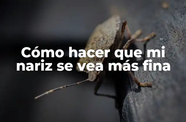 Cómo Hacer que Mi Nariz Se Vea Más Fina