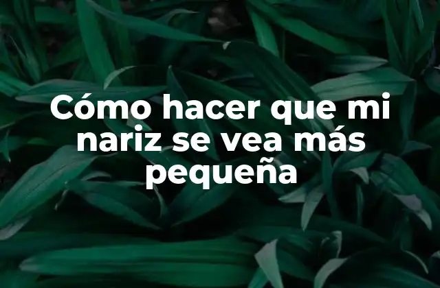 Cómo Hacer que Mi Nariz Se Vea Más Pequeña