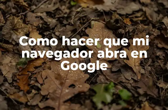Como Hacer que Mi Navegador Abra en Google