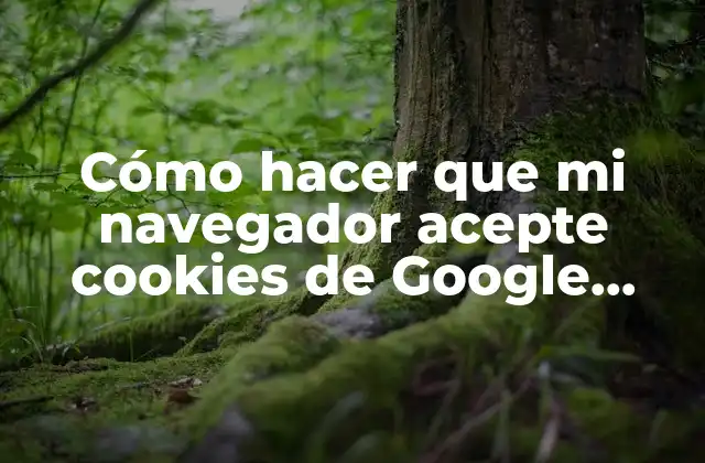 Cómo Hacer que Mi Navegador Acepte Cookies de Google Chrome