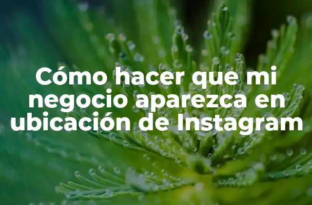 Cómo Hacer que Mi Negocio Aparezca en Ubicación de Instagram