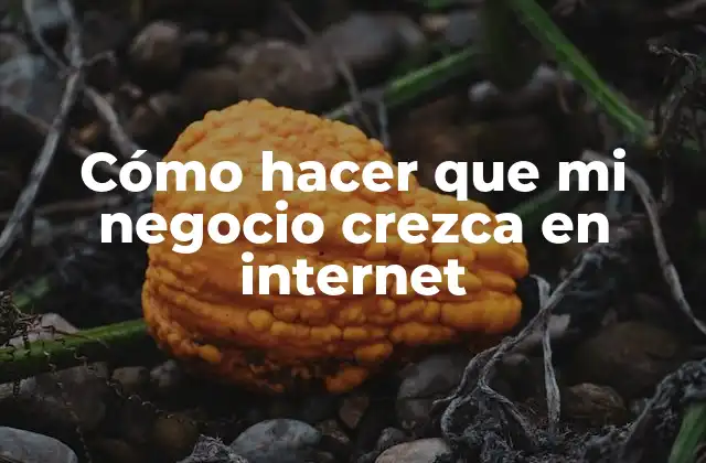 Cómo Hacer que Mi Negocio Crezca en Internet