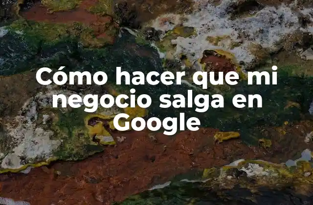 Cómo Hacer que Mi Negocio Salga en Google