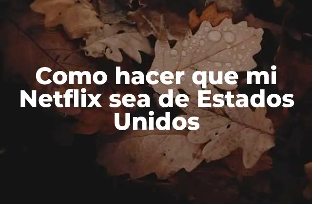 Como Hacer que Mi Netflix Sea de Estados Unidos