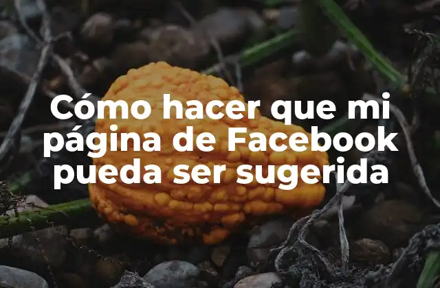 Cómo Hacer que Mi Página de Facebook Pueda Ser Sugerida