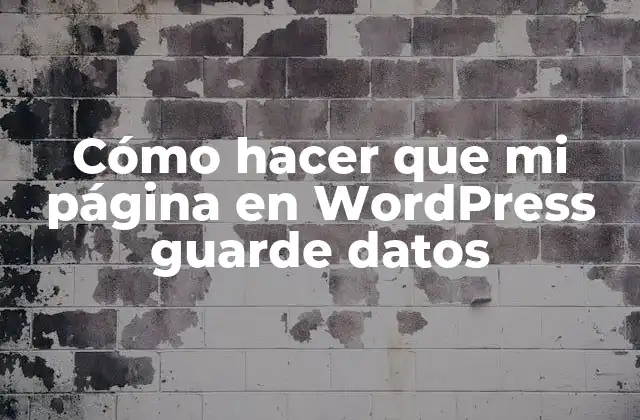 Cómo Hacer que Mi Página en WordPress Guarde Datos