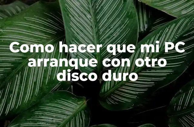 ¿Qué es un disco duro de arranque y para qué sirve?