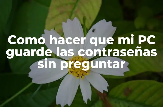 Como Hacer que Mi Pc Guarde las Contraseñas sin Preguntar