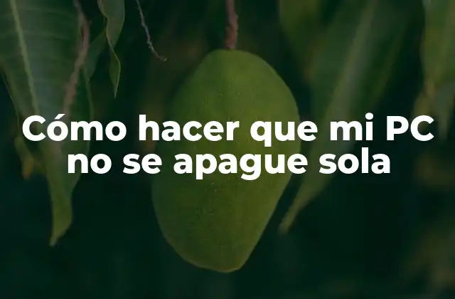 Cómo Hacer que Mi Pc No Se Apague Sola