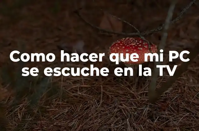 Como Hacer que Mi Pc Se Escuche en la Tv