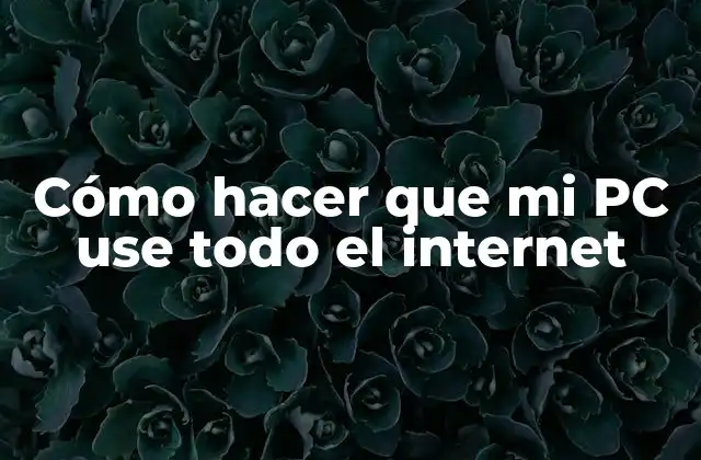 Cómo Hacer que Mi Pc Use Todo el Internet